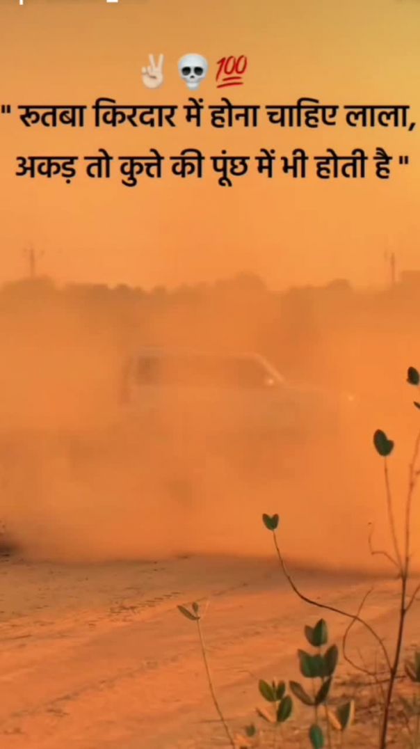 VID_20260208_083023_126