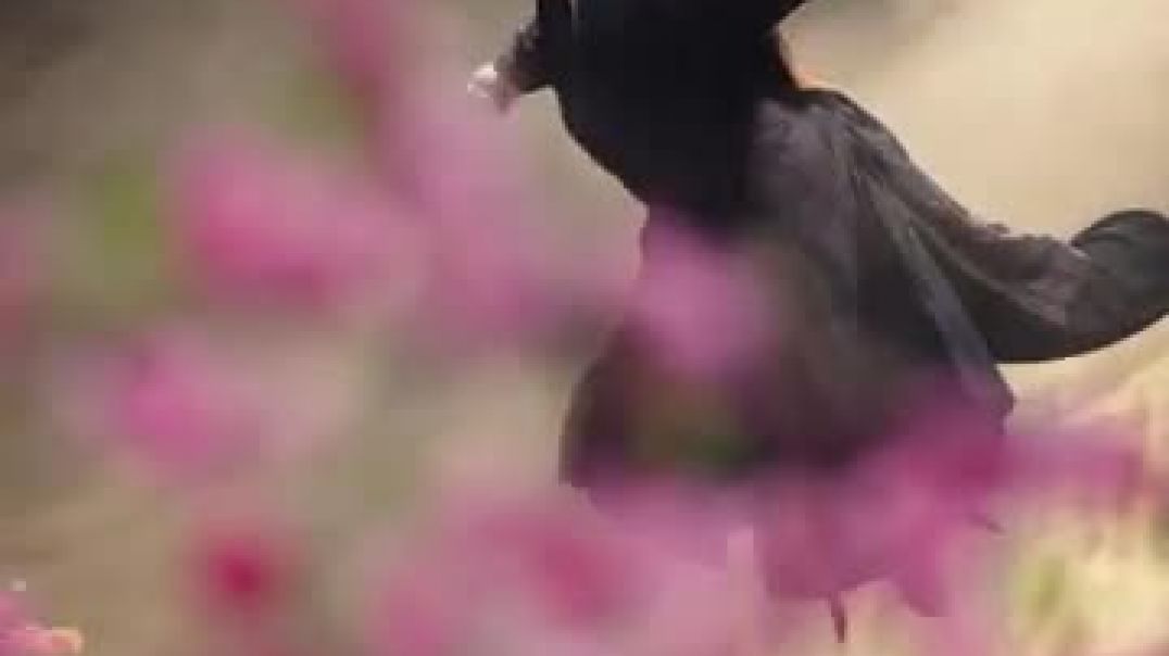 ⁣मंगेतर_ने_निकम्मा_समझा,_पर_वह_परम_योद्धा_निकला—एक_उंगली_से_पहाड़_काटे,_दुनिया_हिला_दे!(360p)