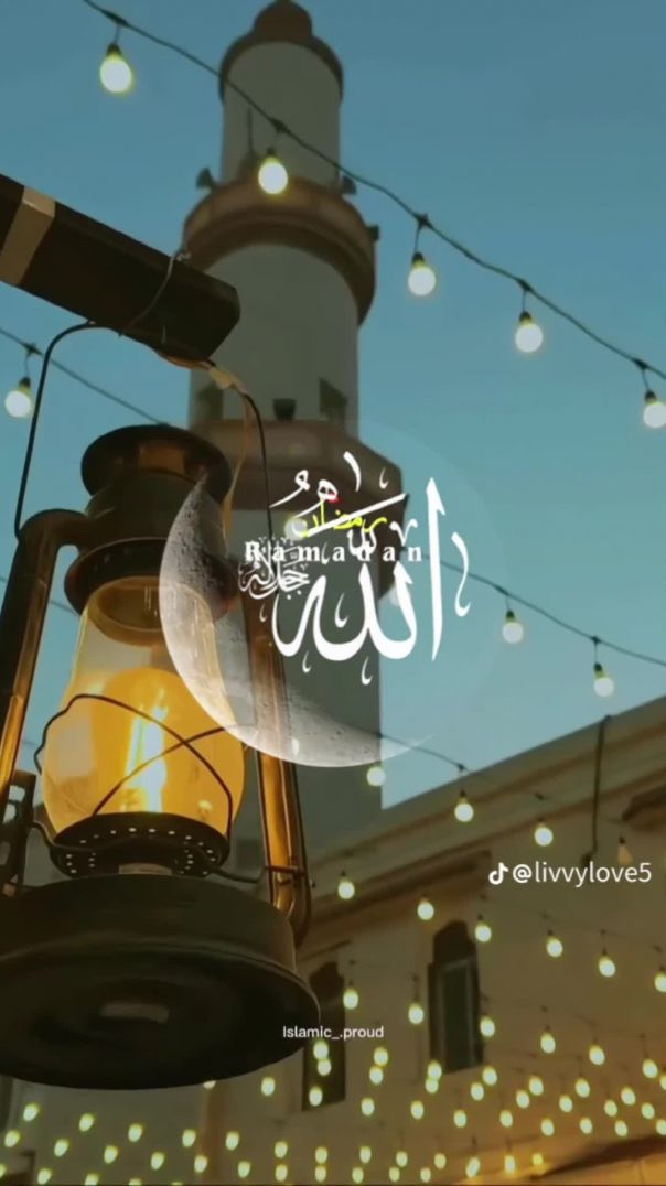 lv_7605583378041326853_20260221113539