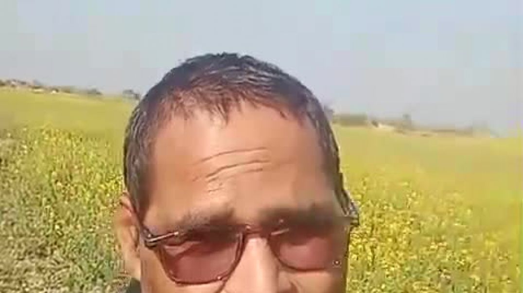 गांव की हरियाली ऐसी दिख रही है