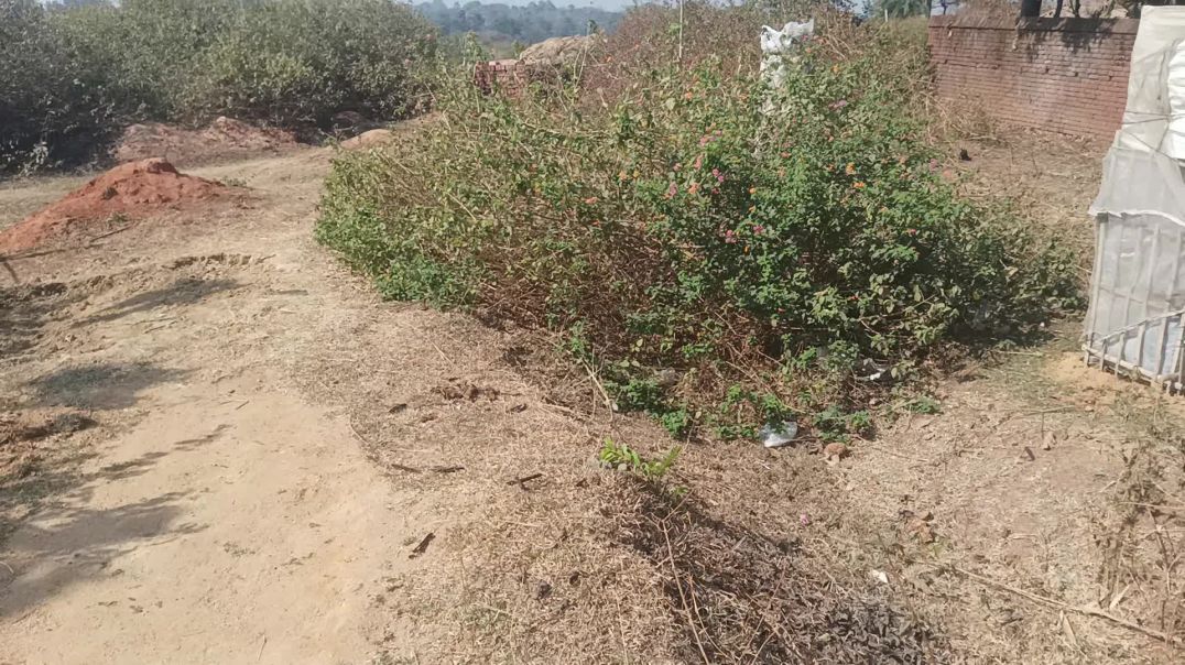 ⁣Atoplay channel rank किस हिसाब से काम करता है 2026