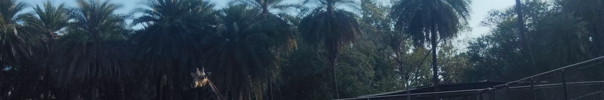 Souravvlig Souravvlig