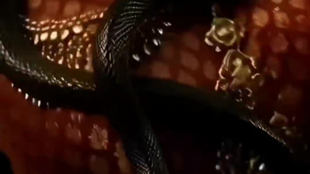 ⁣नागराज राजकुमारी की कहानी पार्ट 1