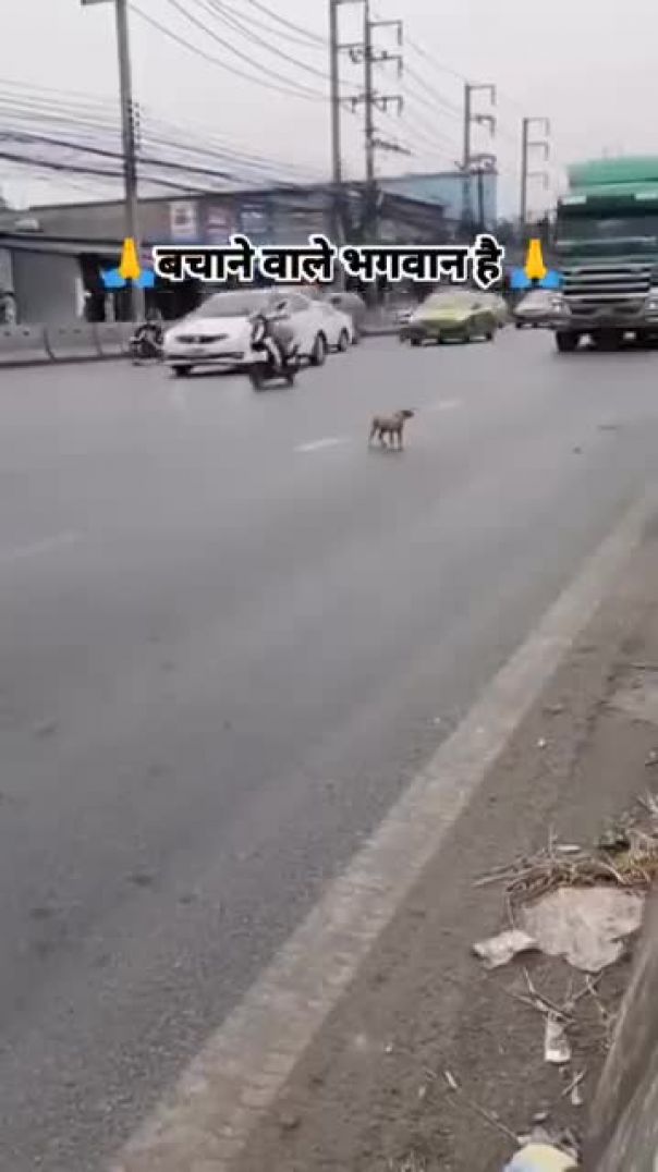 Facebook_1770391553982(360p)