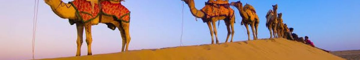 dhoradharti dhoradharti