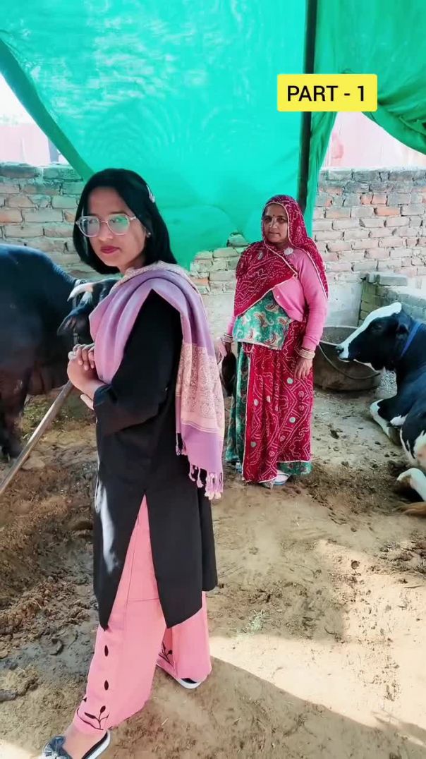 गुर्जर - रूपा Part 1 🤣 #shorts #comedy #comedyshorts #rajstanicomedy #rakiyogoriyo @Mangilal_meghwal #