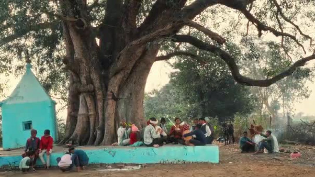 ⁣Mere Bhole Ji Kardo Nazar  Latest Shiv Bhajan