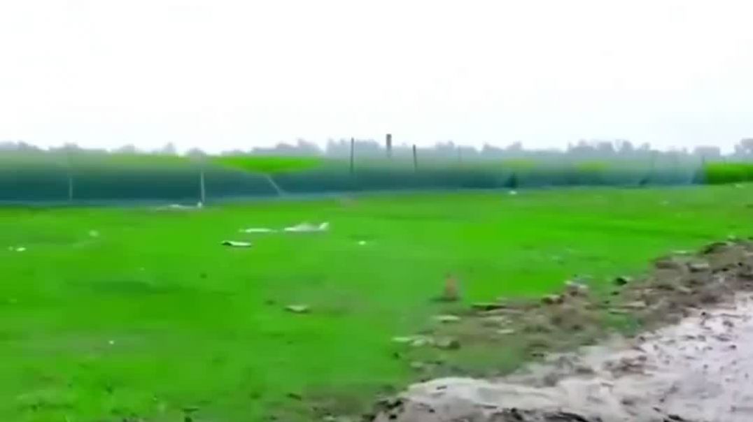 ⁣Comedy video clip