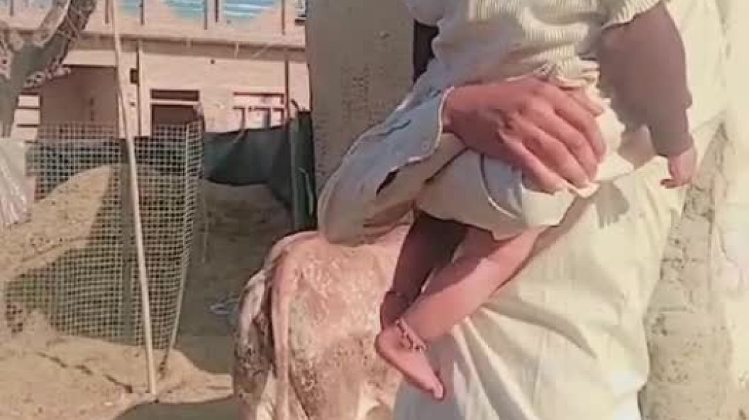 ⁣Vlogs short vairal video