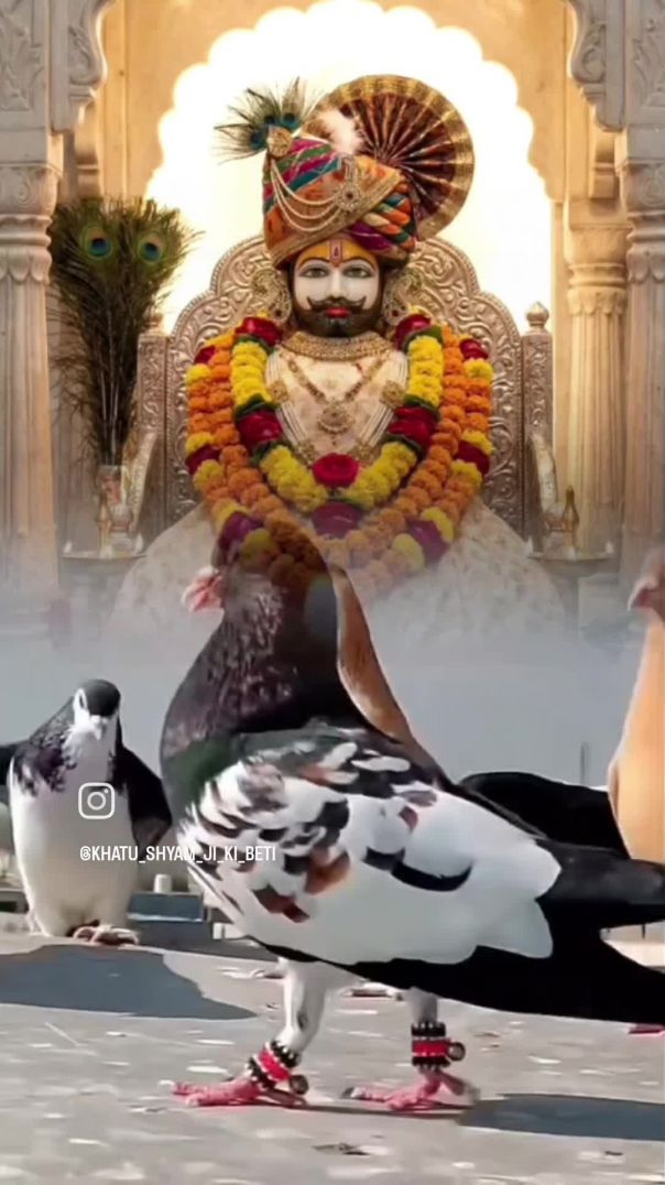 काठी पे घोड़ा # वीडियो # new trending video # https://apnatube.in/watch/mRRM9vpROMhy2fn