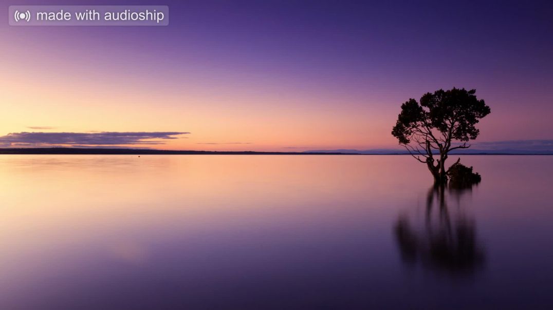 ⁣_Jaan_Jaan_Jelly____Tenu_Soniye_Bulande_Jaan_Jaan___London___Sachin_Ahuja(48k)