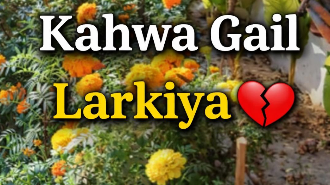 ⁣VID_2026020Kahwa Gaiel  larkaiya  bhojpuri  song 2_220302_385_bsl