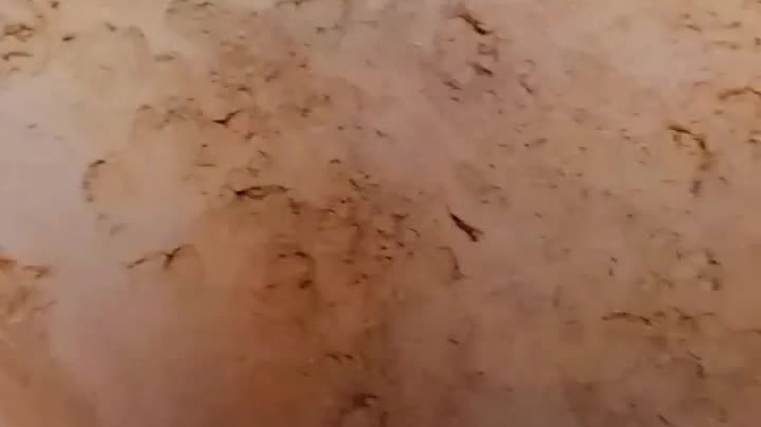 ⁣Blogging video viral video trending 🔥💯 popular 😱 ye kya ho raha hai