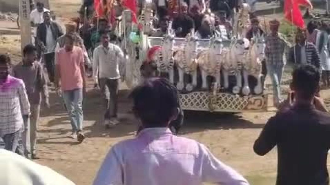 नागणेची माता की झांकी मीतासर गांव की