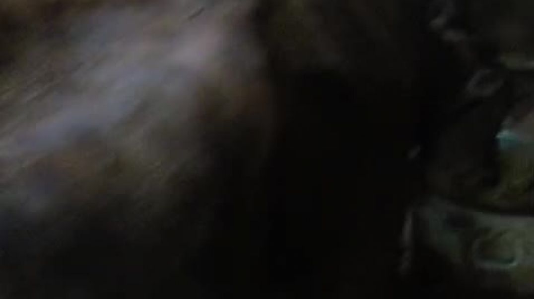 ⁣VID-20250601-WA0002