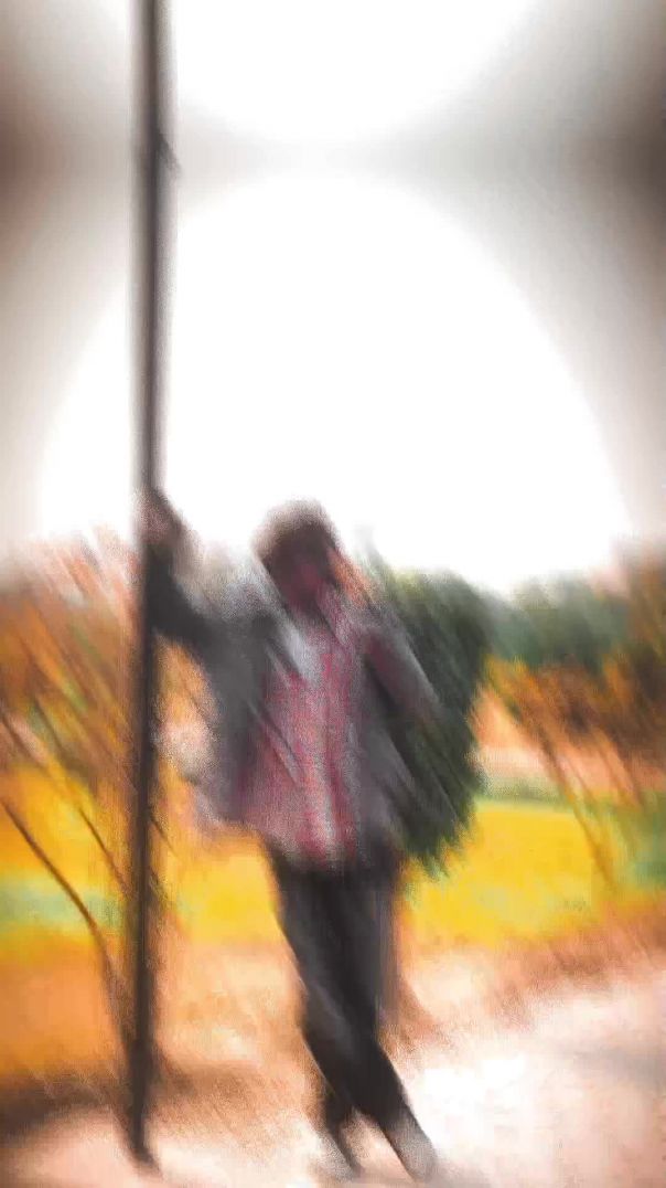 lv_7570560318250683649_20260120224320