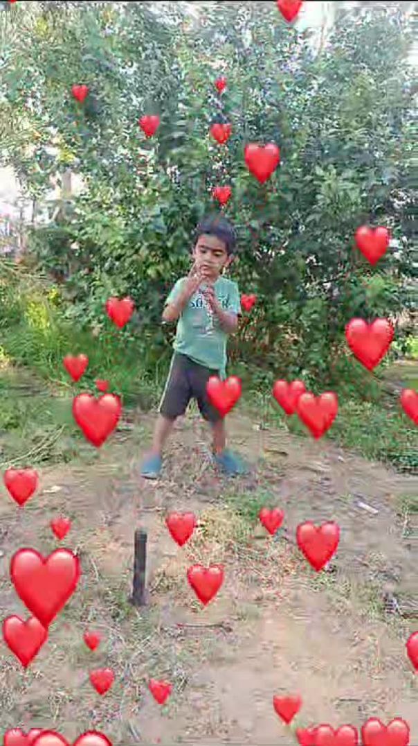 MOV_17717547646227186