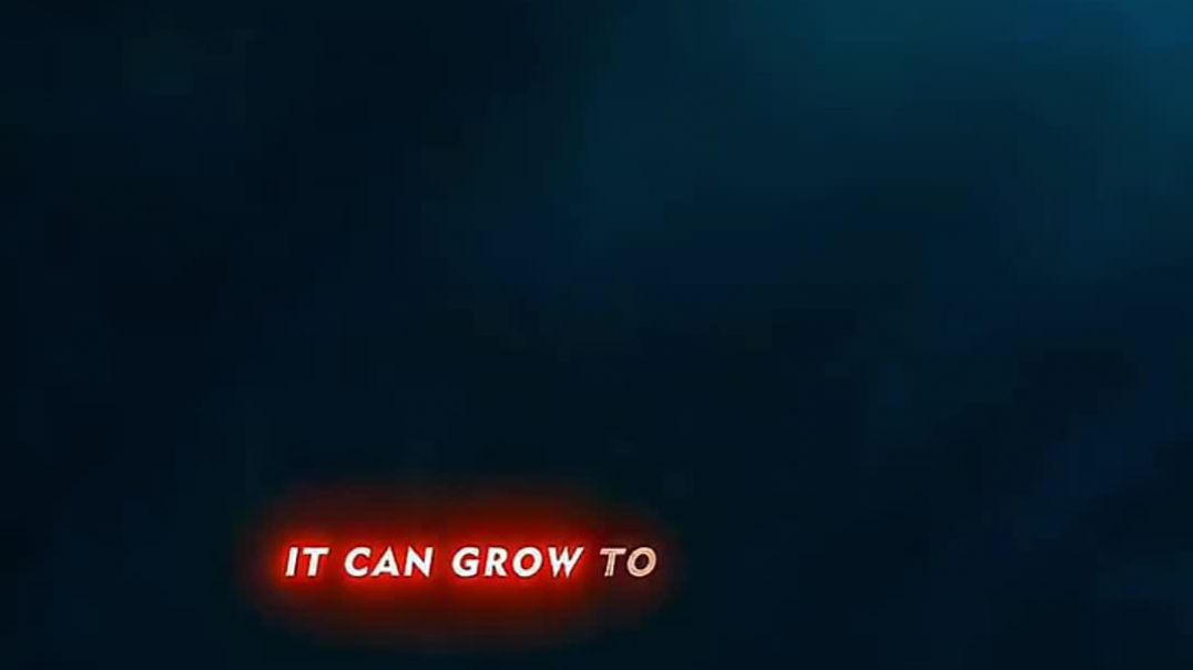 Lava_Ugalne_Wala_Jail_Ka_Rakshas