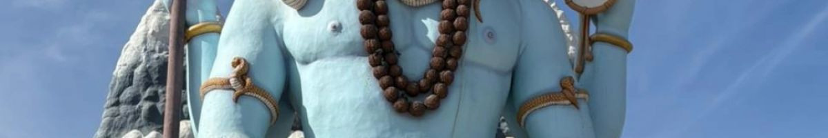 बुद्धिमान 