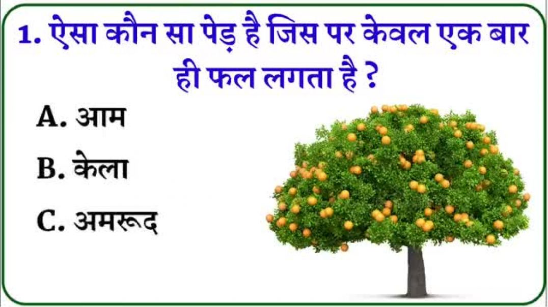 ⁣Hindi Quiz|| GK|| GK Test