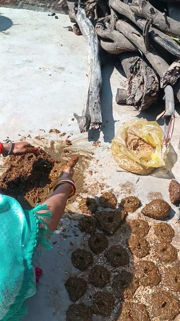 होलिका दहन के लिए गुलरी बनाते हुए