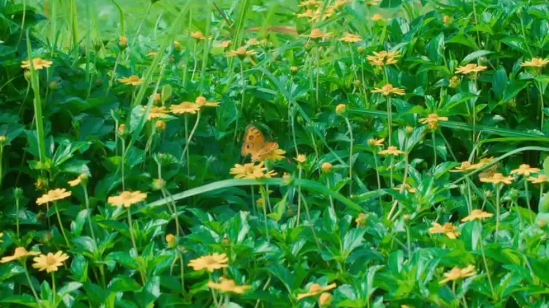 ⁣इसने ऐसा क्यों किया? सच जानकर दंग रह जाएंगे! 🔥