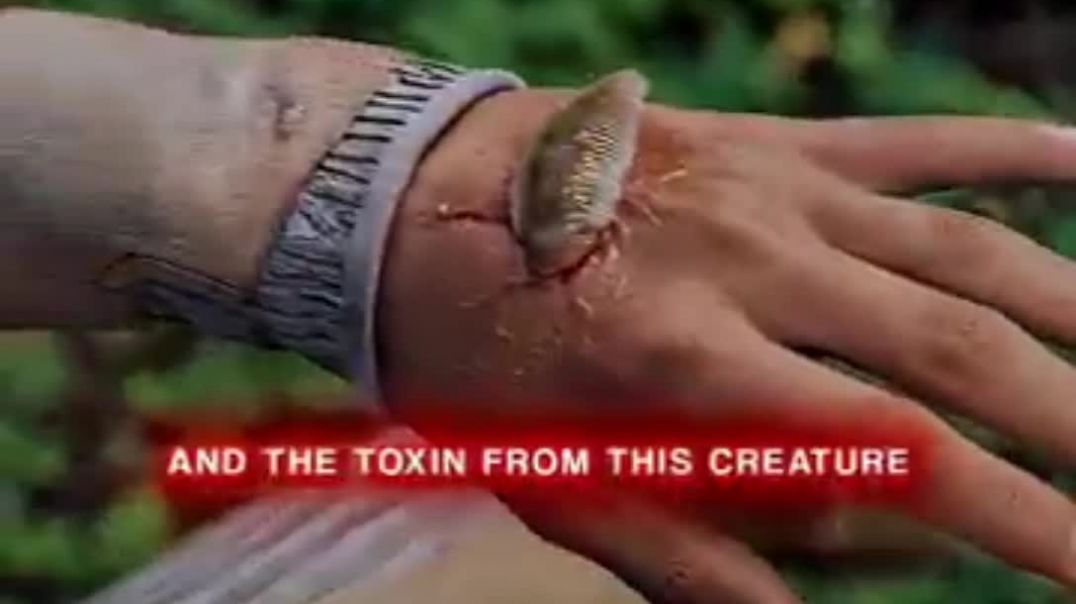 ⁣अनजान_ग्रह_से_आया_लड़का movies story in Hindi