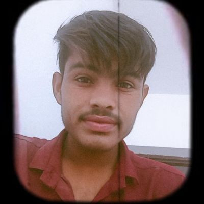 101317228646005811413 