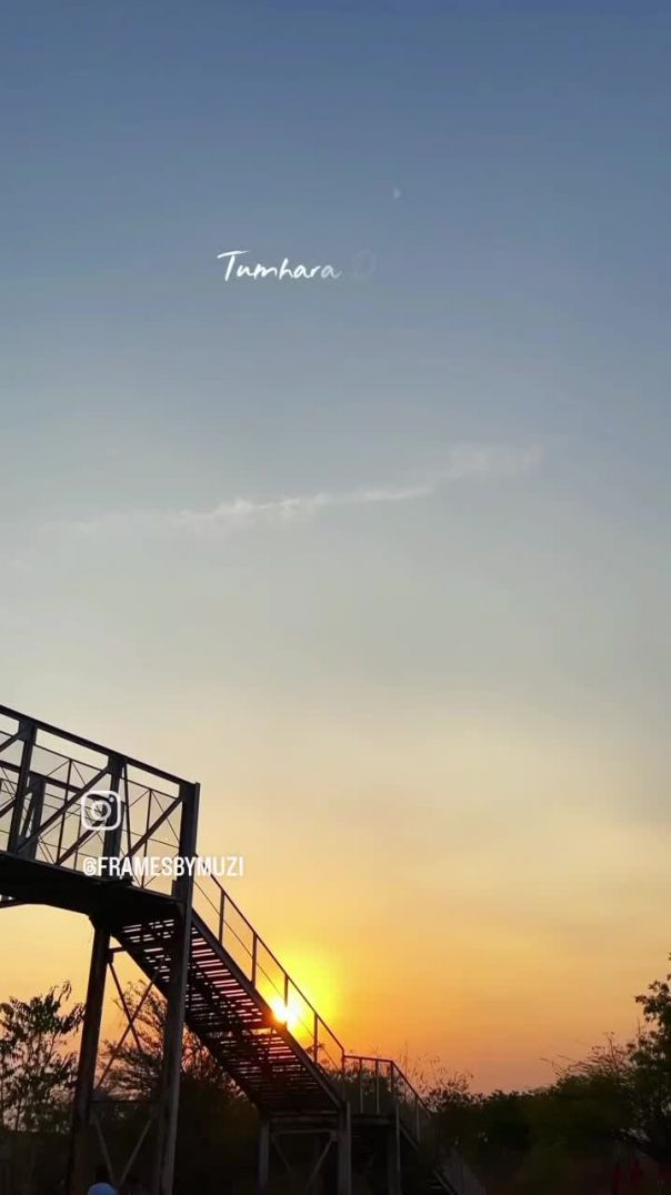 VID_20260212_111850_759