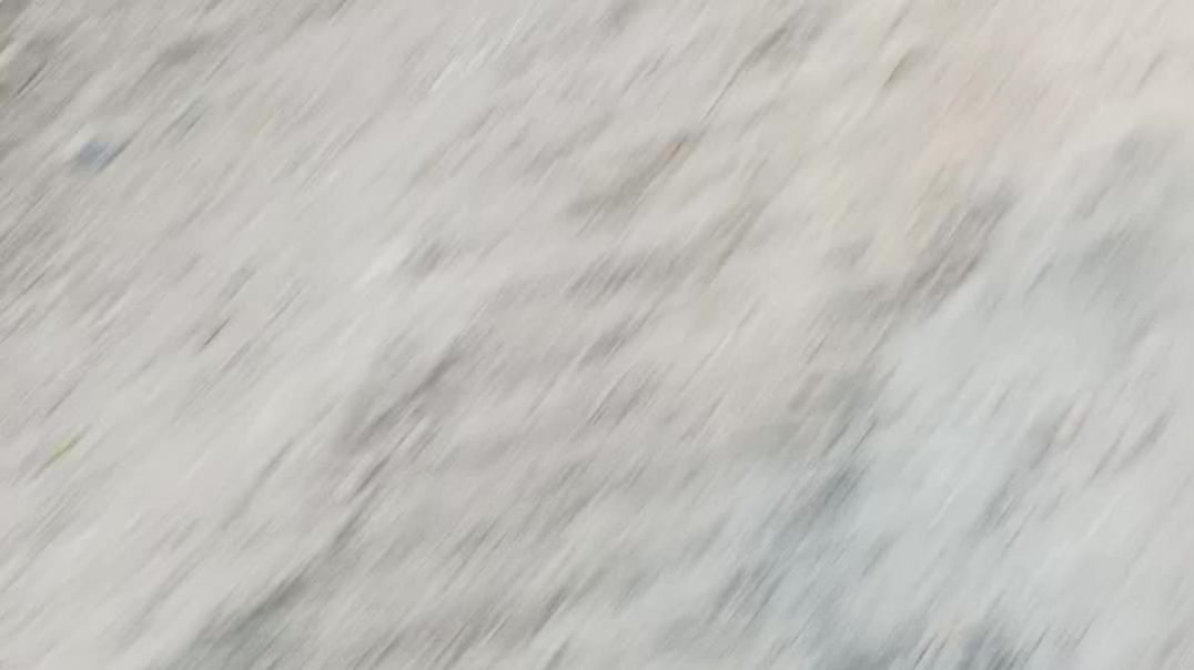 video_20260127_180320