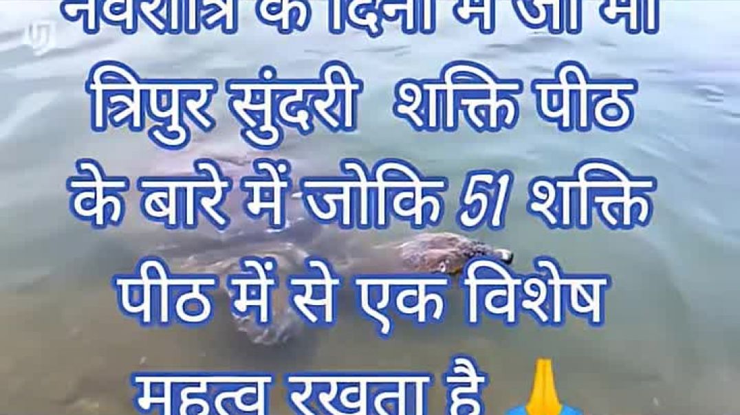 ⁣Sanatan Gyan Dharm🙏🏻