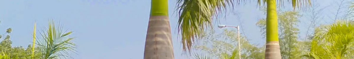 101408979276742560996 