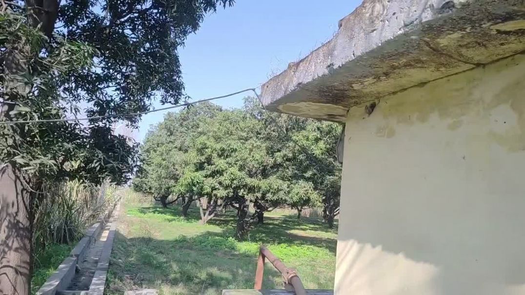 ⁣Aaj Baag Mein Kali kari