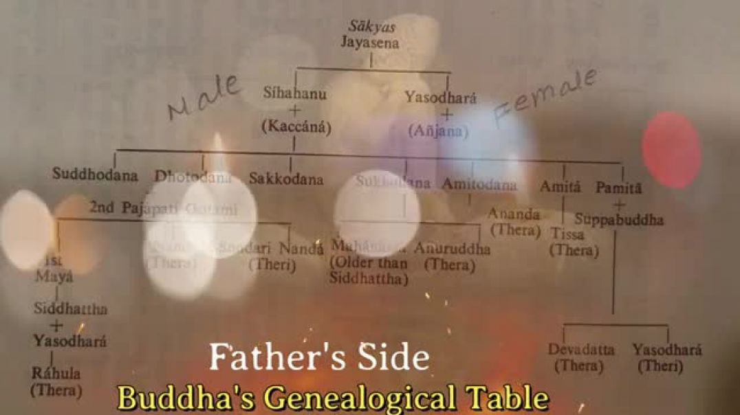 ⁣Buddha Family Tree