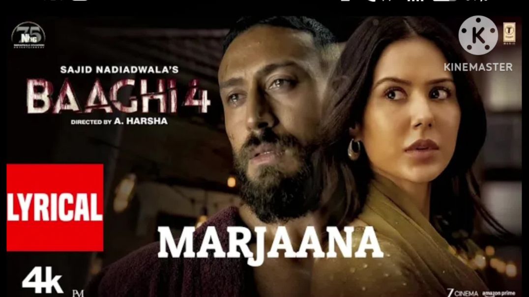 km_20260223-3_1080p_30f_20260223_134437