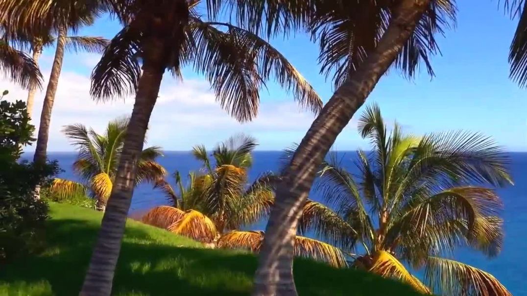 ⁣From Main Klickpin CF- Pinterest Video - 388Aj0FNX