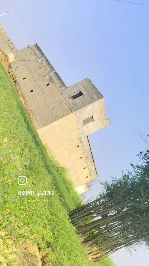 VID_20260213_030928_554