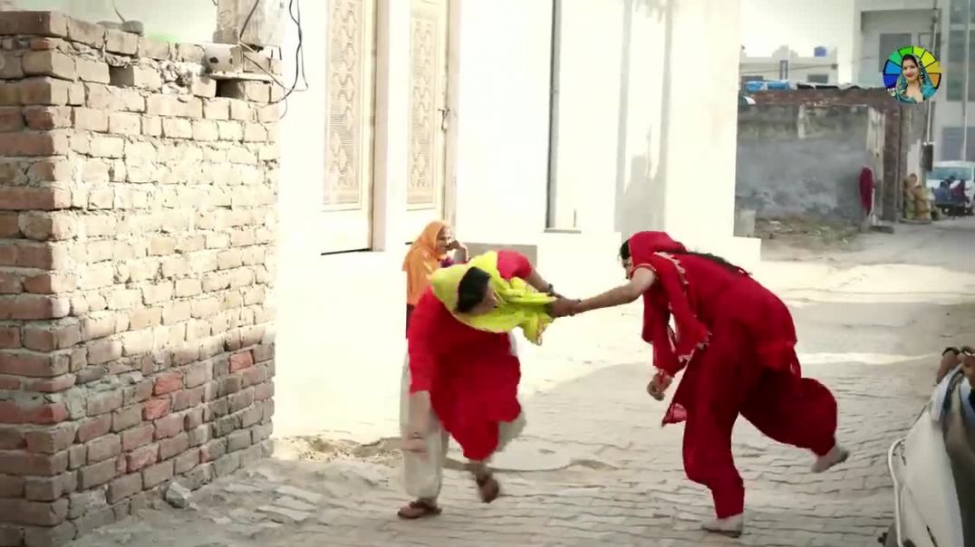 ⁣VID-20260217-WA0013