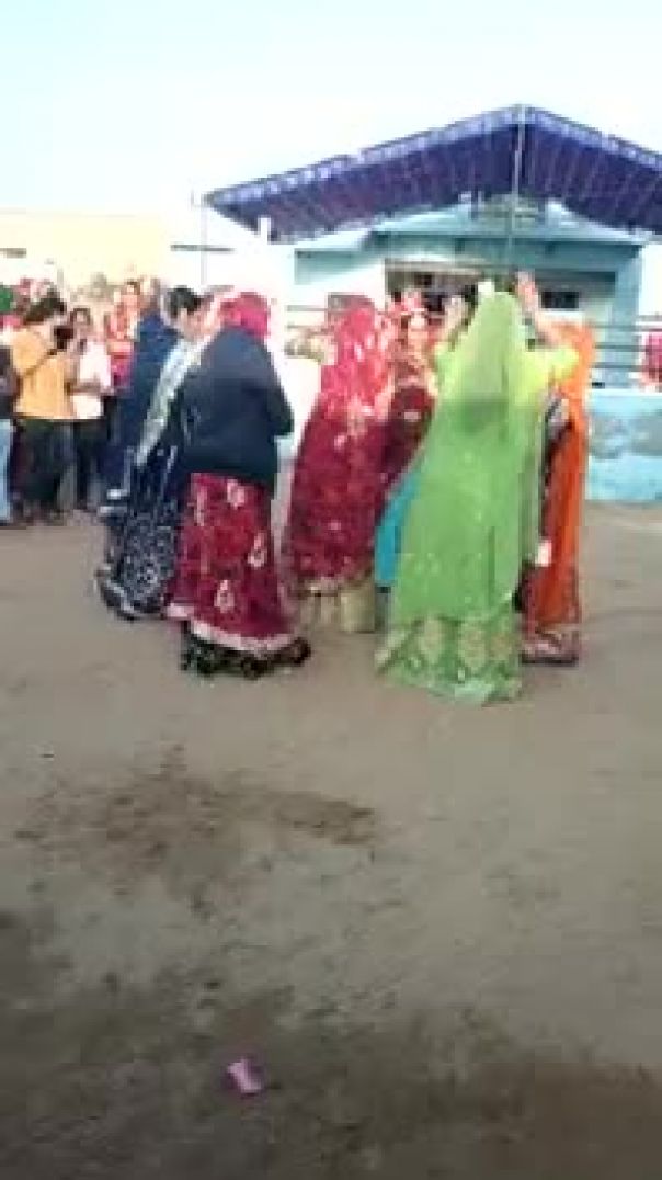 sekhawati marriage dance jjn