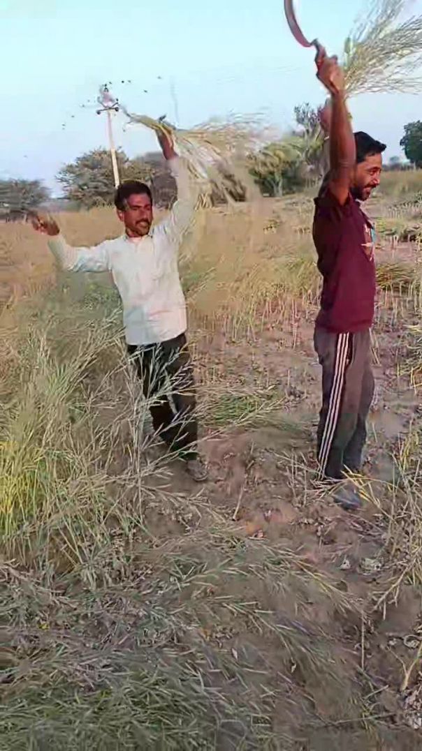 VID_20260201_041154_296