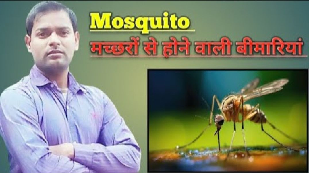 ⁣मच्छरों से इंसानों में होने वाली बीमारियां और बचाव ।(720P_HD)