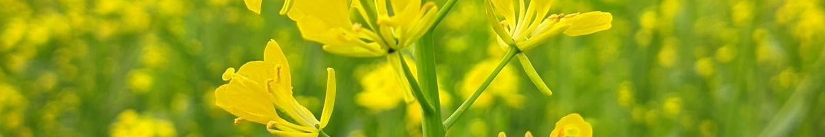 110191677799691664204 