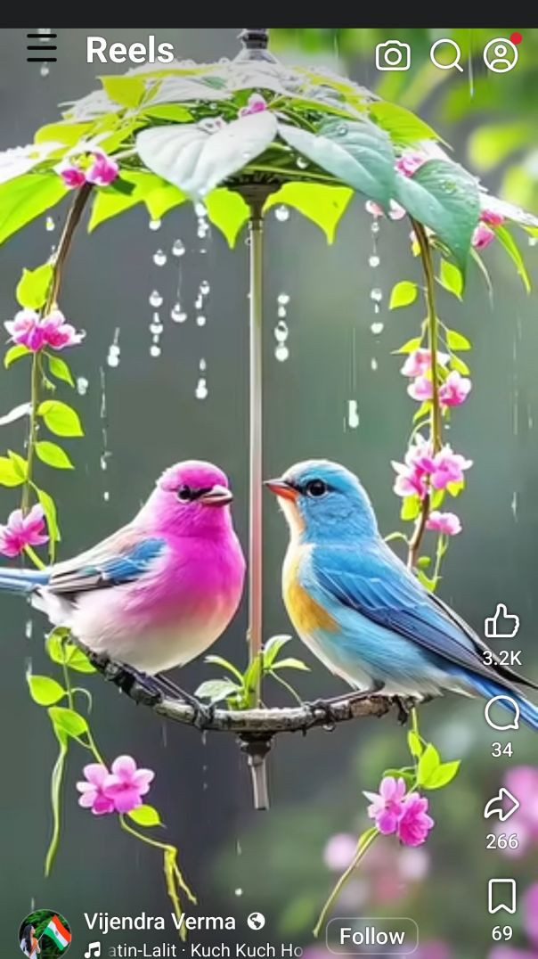 InShot_20251117_131740508