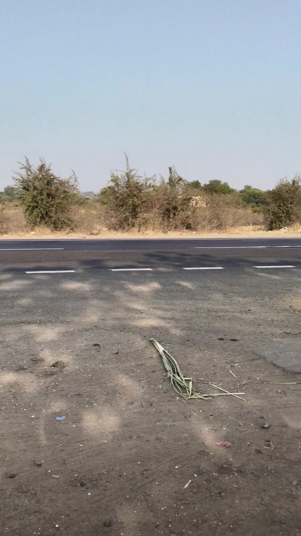 video_20260212_091913