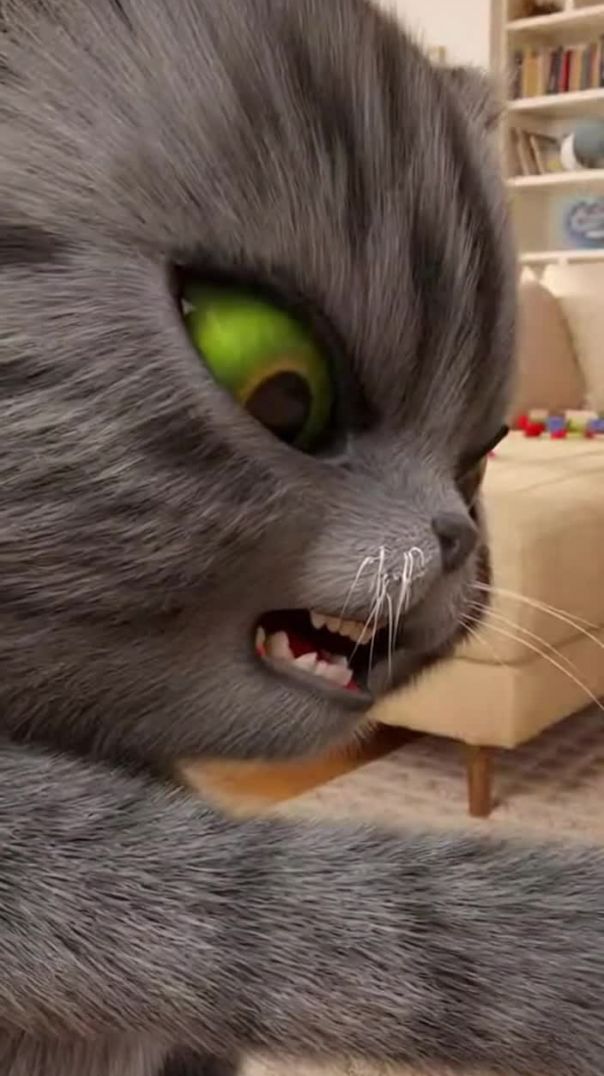 बिल्ली का गुस्सा