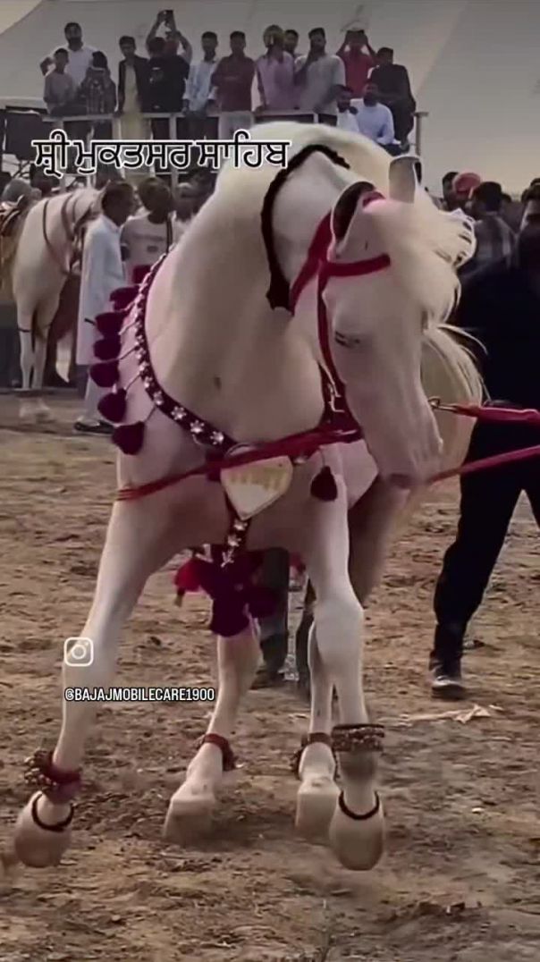 VID_20260213_011700_050