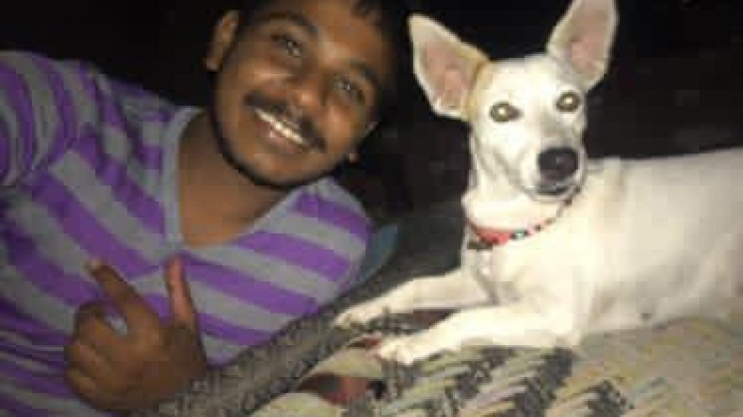 ⁣My cute puppy 🐕🐕 in funny 🤣 Masti time