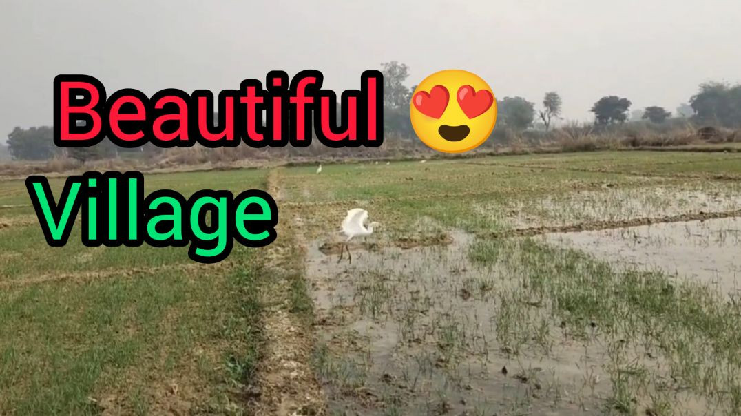 ⁣Beautiful Village Vlog 😍#newvlog#viralvlog#trendingvlog#viralvlog#apanatubvlog#vlogvideo#vlog#videovlog#pleaselikesubscribmychannal🙏.