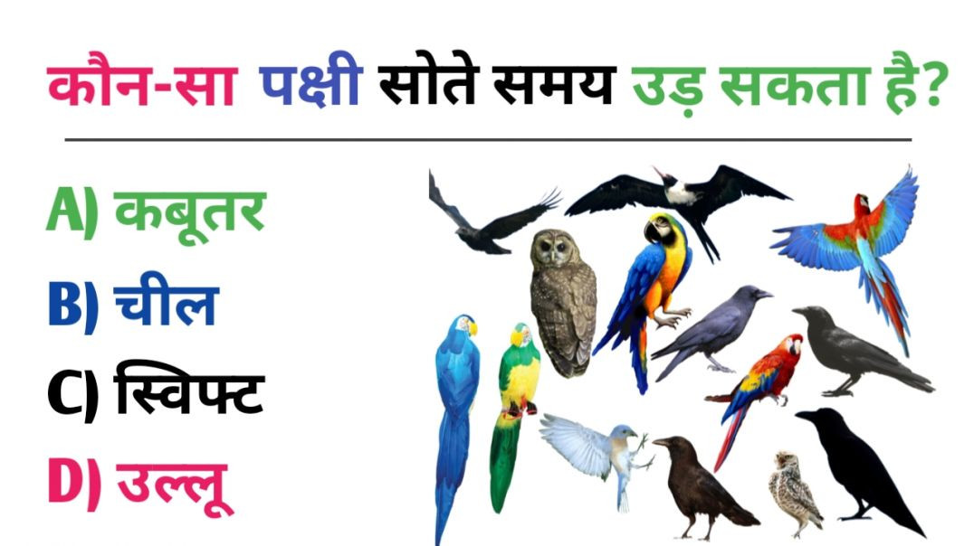 ⁣TOP 10 GK QUESTIONS  || GK In Hindi ||GK Quiz ||
