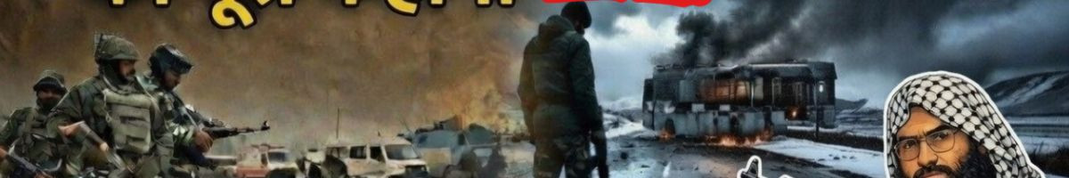 zindgieksfr zindgieksfr